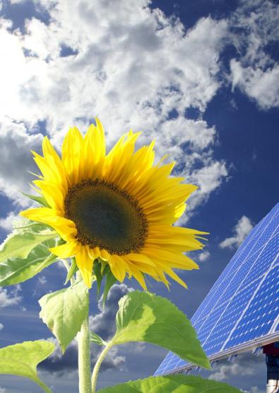Solar-Direktinvestment Prospektbild 2